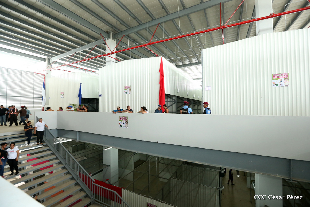 renacer6